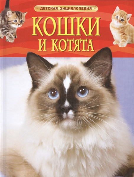 Энциклопедия. Кошки и котята. Росмэн, А4, 978-5-353-06912-6
